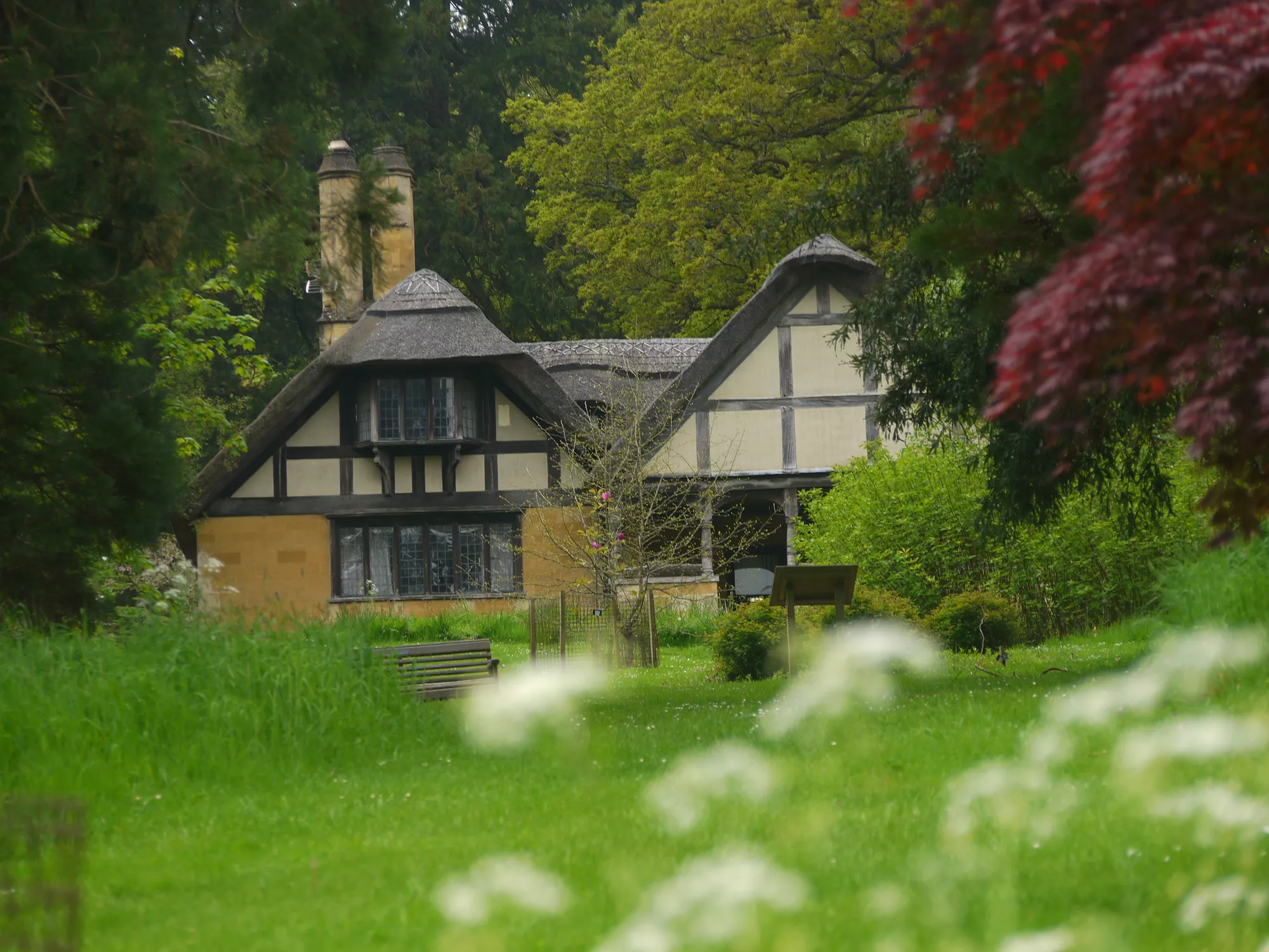 Arboretum
