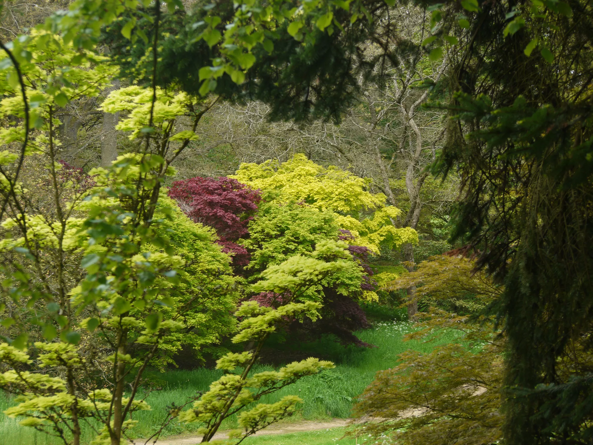 Arboretum