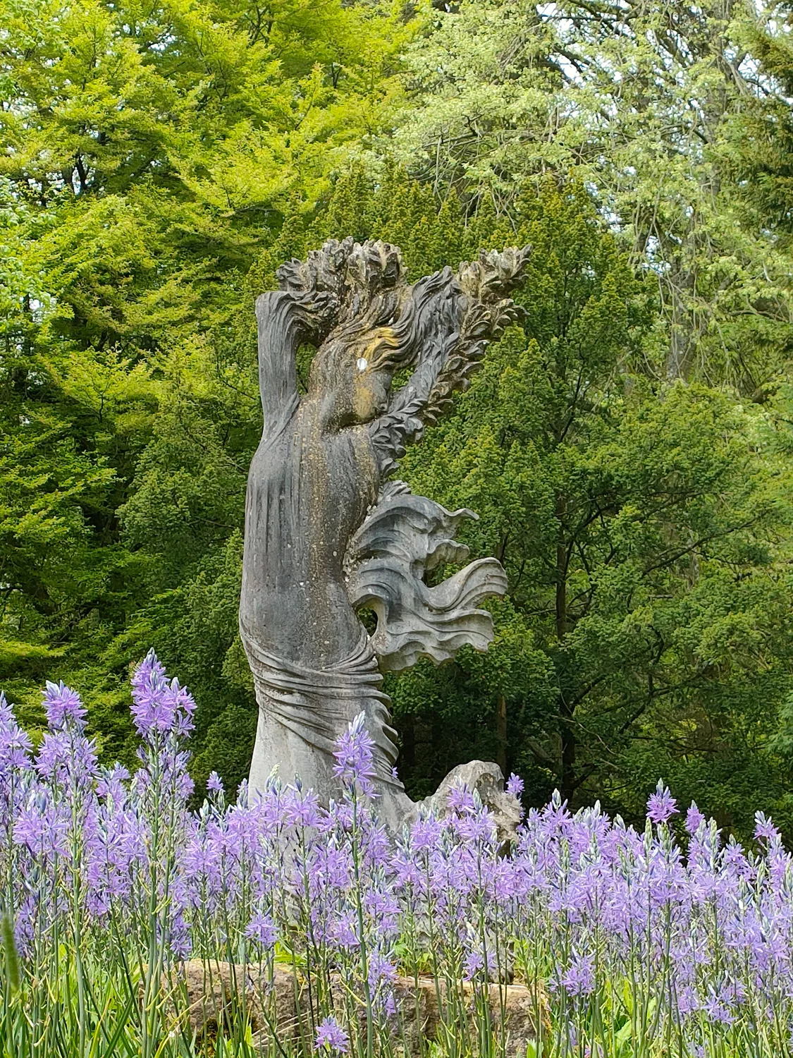 Arboretum